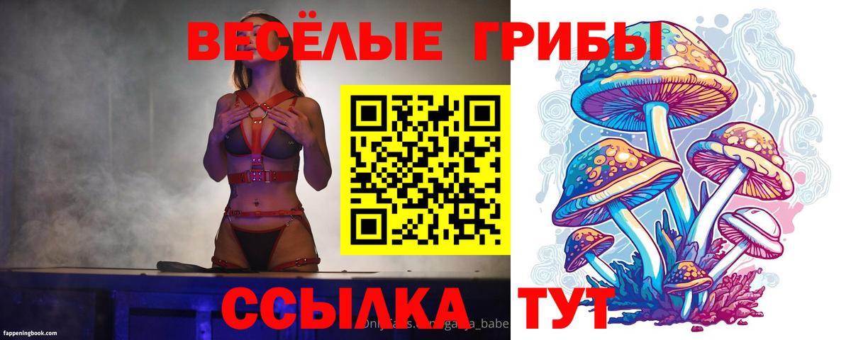 Галлюциногенные грибы Magic Shrooms  Вход с VPN  Кстово 